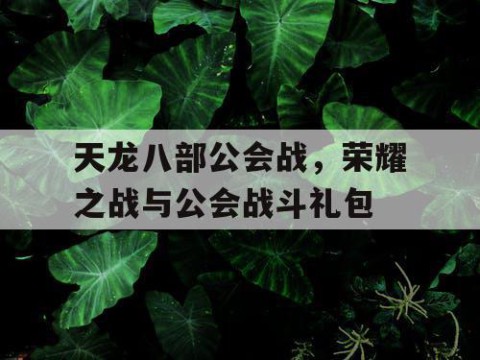 天龙八部公会战，荣耀之战与公会战斗礼包