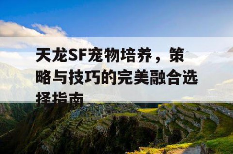 天龙SF宠物培养，策略与技巧的完美融合选择指南