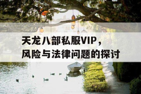 天龙八部私服VIP，风险与法律问题的探讨