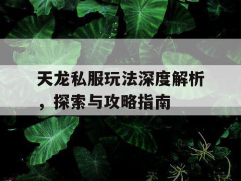 天龙私服玩法深度解析，探索与攻略指南