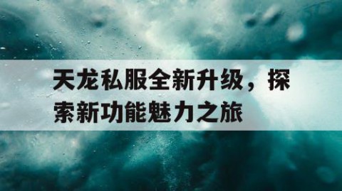 天龙私服全新升级，探索新功能魅力之旅