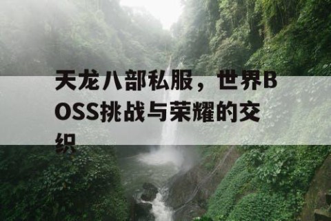 天龙八部私服，世界BOSS挑战与荣耀的交织