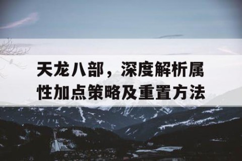 天龙八部，深度解析属性加点策略及重置方法