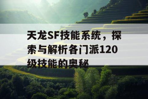 天龙SF技能系统，探索与解析各门派120级技能的奥秘