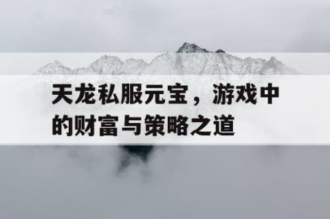 天龙私服元宝，游戏中的财富与策略之道