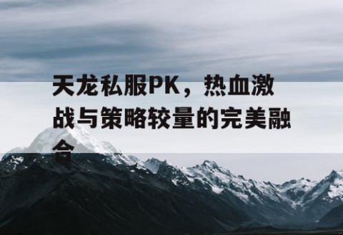 天龙私服PK，热血激战与策略较量的完美融合