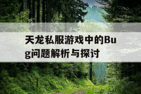 天龙私服游戏中的Bug问题解析与探讨