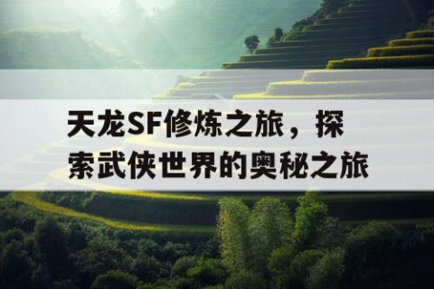 天龙SF修炼之旅，探索武侠世界的奥秘之旅