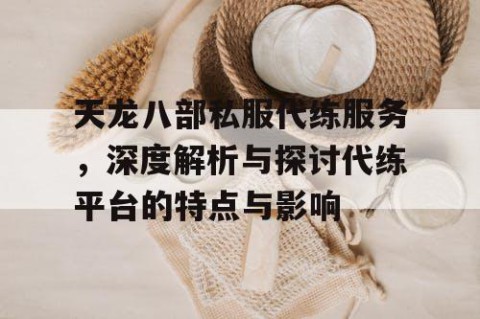 天龙八部私服代练服务，深度解析与探讨代练平台的特点与影响