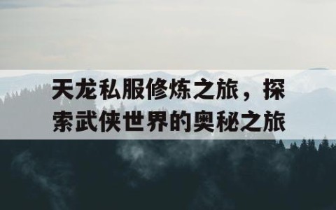 天龙私服修炼之旅，探索武侠世界的奥秘之旅