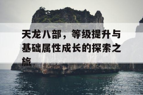 天龙八部，等级提升与基础属性成长的探索之旅