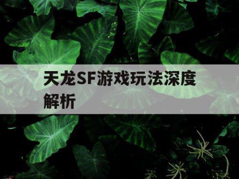 天龙SF游戏玩法深度解析