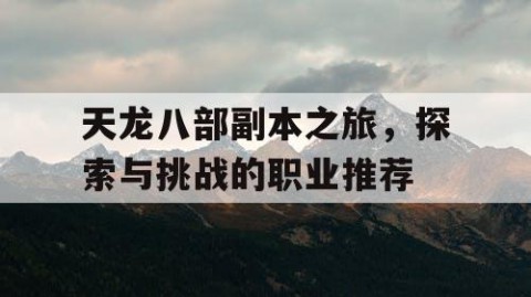 天龙八部副本之旅，探索与挑战的职业推荐