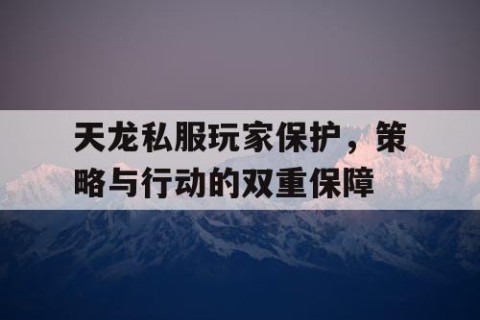 天龙私服玩家保护，策略与行动的双重保障