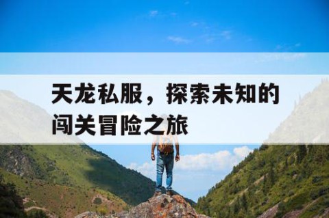 天龙私服，探索未知的闯关冒险之旅