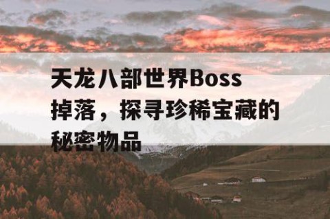 天龙八部世界Boss掉落，探寻珍稀宝藏的秘密物品