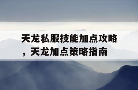 天龙私服技能加点攻略，天龙加点策略指南