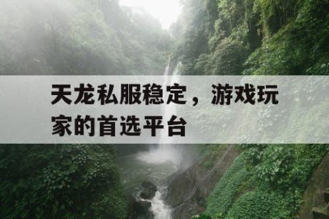 天龙私服稳定，游戏玩家的首选平台