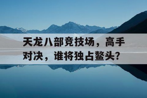 天龙八部竞技场，高手对决，谁将独占鳌头？