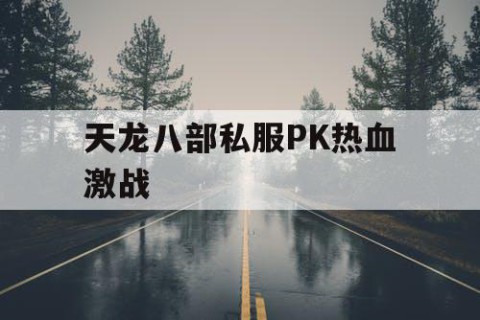 天龙八部私服PK热血激战