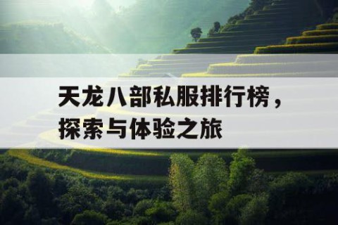 天龙八部私服排行榜，探索与体验之旅