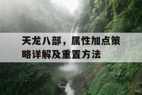 天龙八部，属性加点策略详解及重置方法