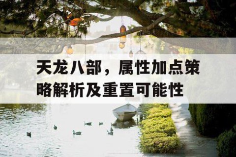 天龙八部，属性加点策略解析及重置可能性