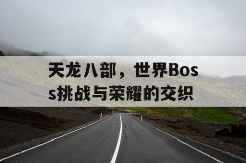 天龙八部，世界Boss挑战与荣耀的交织