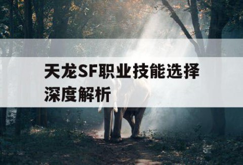 天龙SF职业技能选择深度解析