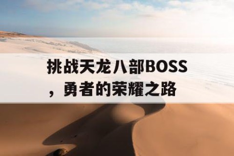 挑战天龙八部BOSS，勇者的荣耀之路