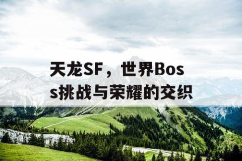 天龙SF，世界Boss挑战与荣耀的交织