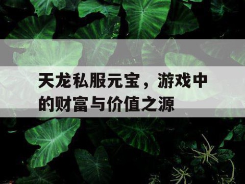 天龙私服元宝，游戏中的财富与价值之源