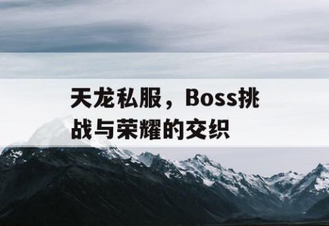 天龙私服，Boss挑战与荣耀的交织