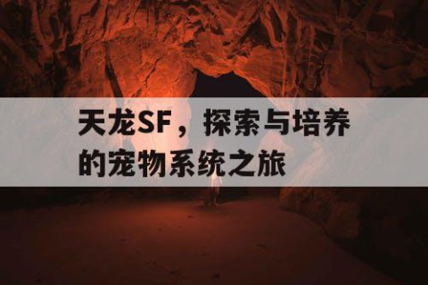 天龙SF，探索与培养的宠物系统之旅