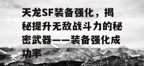 天龙SF装备强化，揭秘提升无敌战斗力的秘密武器——装备强化成功率