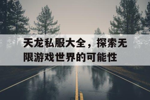 天龙私服大全，探索无限游戏世界的可能性