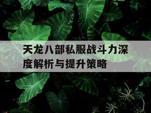 天龙八部私服战斗力深度解析与提升策略