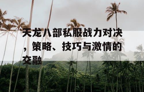 天龙八部私服战力对决，策略、技巧与激情的交融