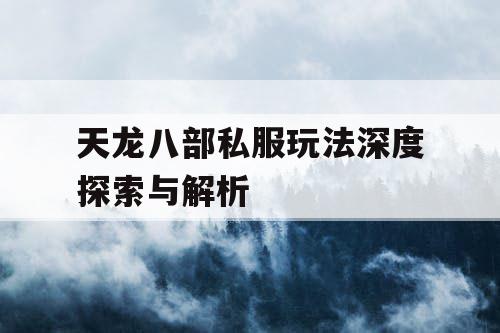 天龙八部私服玩法深度探索与解析