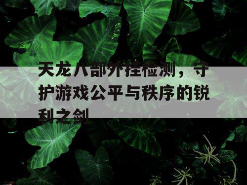 天龙八部外挂检测，守护游戏公平与秩序的锐利之剑