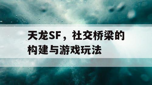 天龙SF，社交桥梁的构建与游戏玩法