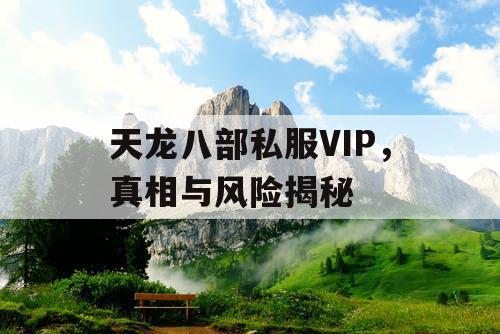 天龙八部私服VIP，真相与风险揭秘