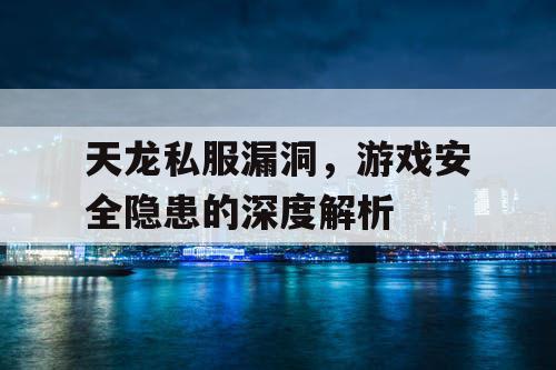 天龙私服漏洞，游戏安全隐患的深度解析