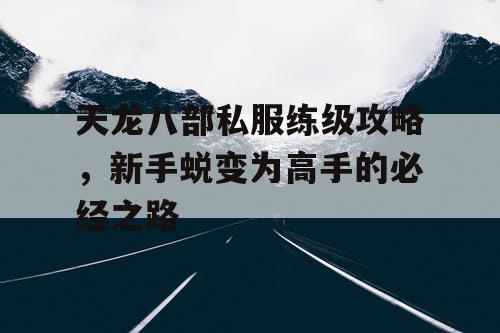 天龙八部私服练级攻略，新手蜕变为高手的必经之路