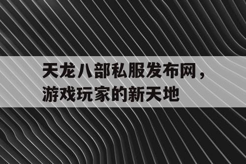 天龙八部私服发布网，游戏玩家的新天地