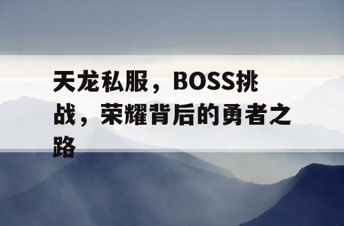 天龙私服，BOSS挑战，荣耀背后的勇者之路