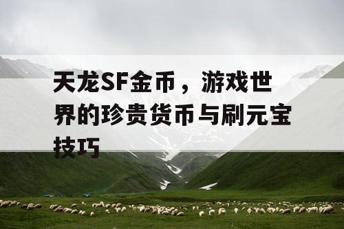 天龙SF金币，游戏世界的珍贵货币与刷元宝技巧