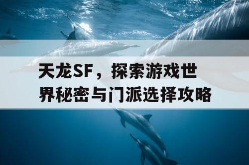 天龙SF，探索游戏世界秘密与门派选择攻略