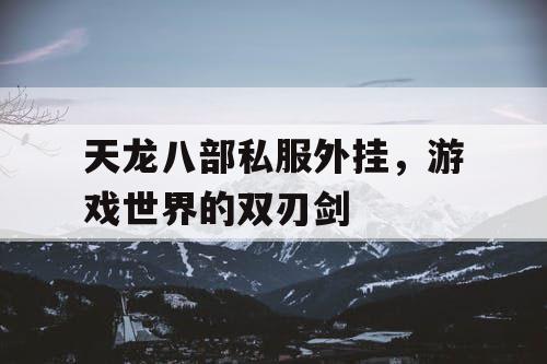 天龙八部私服外挂，游戏世界的双刃剑