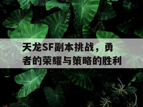 天龙SF副本挑战，勇者的荣耀与策略的胜利